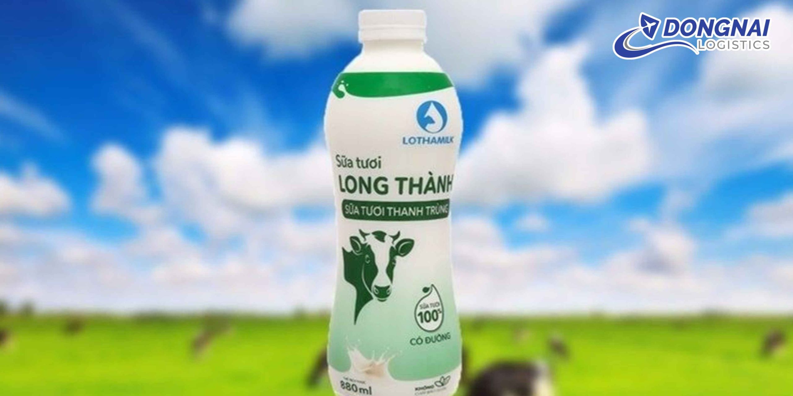 Gửi Sữa Long Thành Lên Cà Mau – Nhanh Gọn, An Toàn Cùng DongNai Logistics