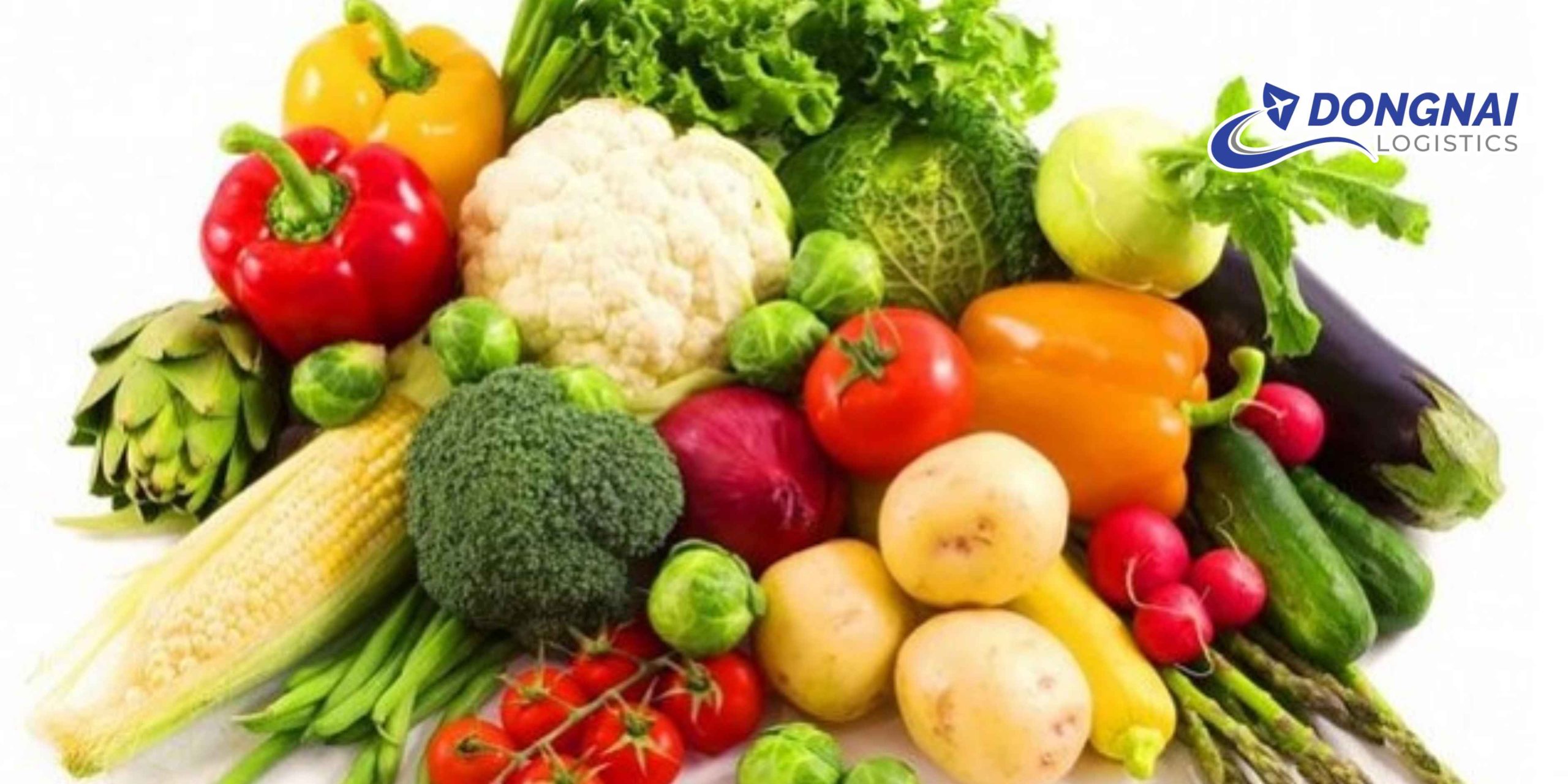 Gửi Rau Từ Đà Lạt Lên TP.HCM – Tươi Mỗi Ngày Cùng DongNai Logistics