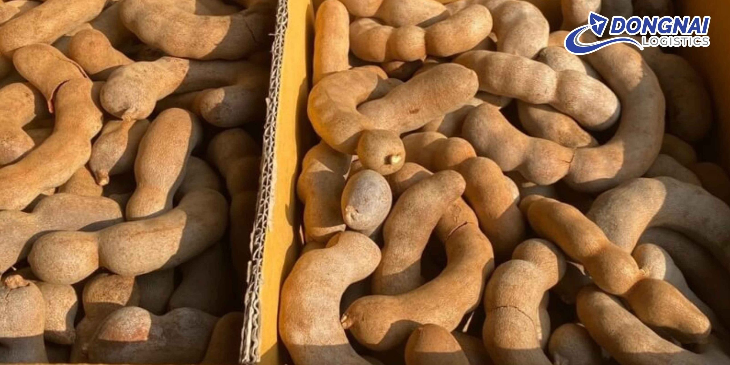 Gửi Me Dốt Bột Từ TP.HCM Đi Hải Phòng - Nhanh Chóng - An Toàn - Giữ Trọn Hương Vị Cùng DongNai Logistics