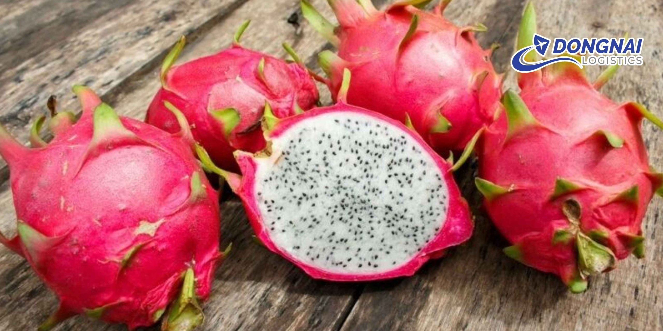 Gửi Thanh Long Từ Bình Thuận Đi Hà Nội - Nhanh Chóng - Tươi Ngon - Đúng Thời Gian Cùng DongNai Logistics