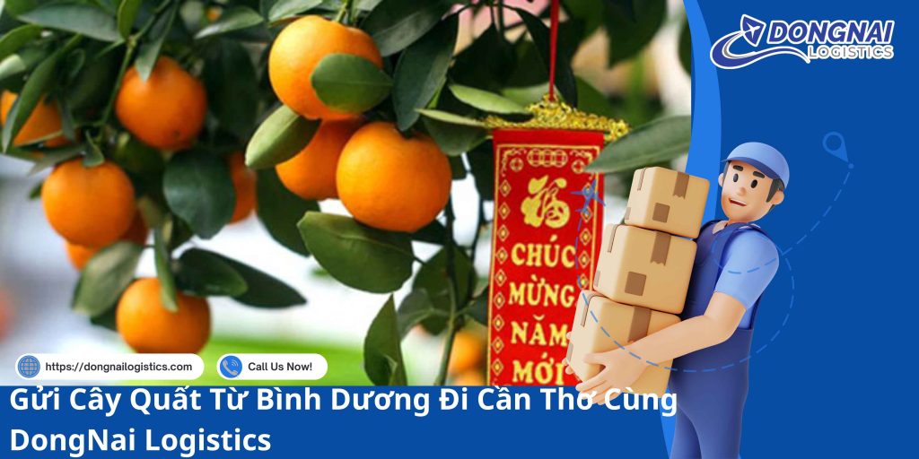Gửi Cây Quất Từ Bình Dương Đi Cần Thơ Cùng DongNai Logistics