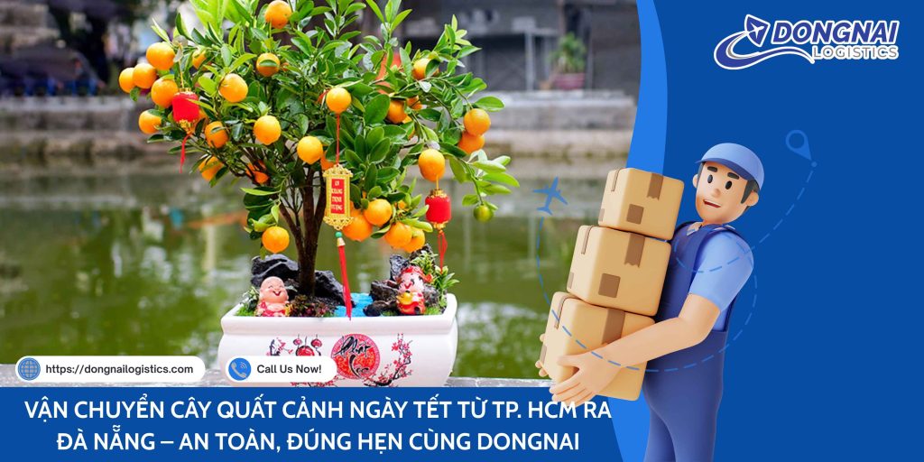 VẬN CHUYỂN CÂY QUẤT CẢNH NGÀY TẾT TỪ TP. HCM RA ĐÀ NẴNG – AN TOÀN, ĐÚNG HẸN CÙNG DONGNAI LOGISTICS