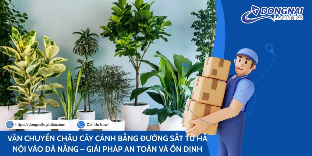 VẬN CHUYỂN CHẬU CÂY CẢNH BẰNG ĐƯỜNG SẮT TỪ HÀ NỘI VÀO ĐÀ NẴNG – GIẢI PHÁP AN TOÀN VÀ ỔN ĐỊNH