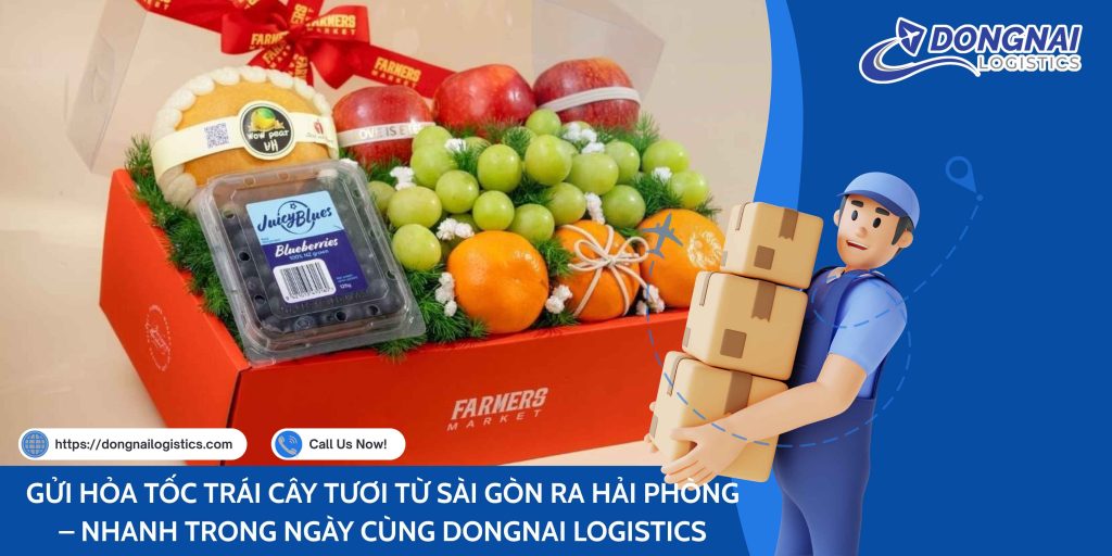 GỬI HỎA TỐC TRÁI CÂY TƯƠI TỪ SÀI GÒN RA HẢI PHÒNG – NHANH TRONG NGÀY CÙNG DONGNAI LOGISTICS