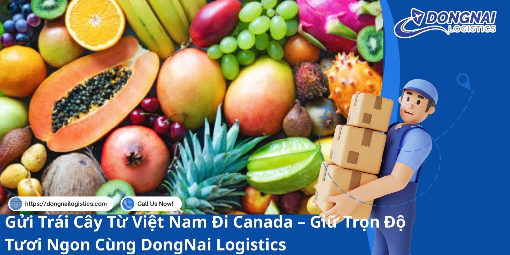 Gửi Trái Cây Từ Việt Nam Đi Canada – Giữ Trọn Độ Tươi Ngon Cùng DongNai Logistics