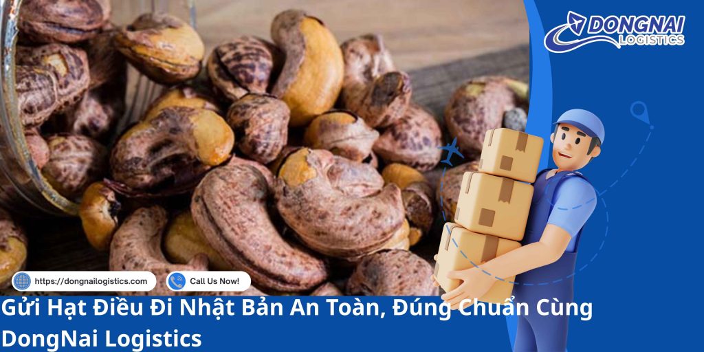 Gửi Hạt Điều Đi Nhật Bản An Toàn, Đúng Chuẩn Cùng DongNai Logistics