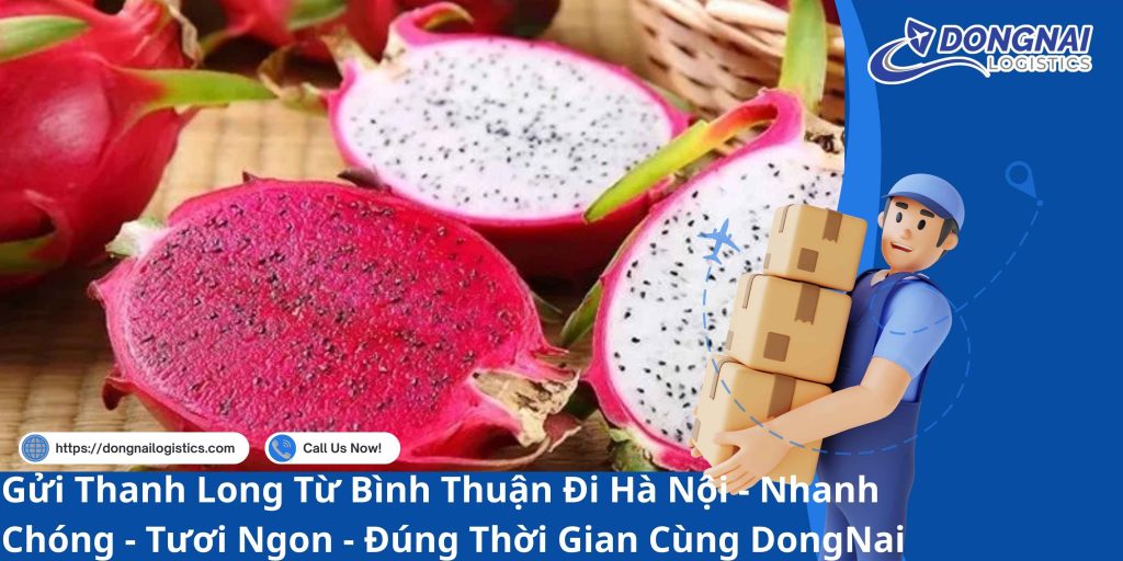 Gửi Thanh Long Từ Bình Thuận Đi Hà Nội - Nhanh Chóng - Tươi Ngon - Đúng Thời Gian Cùng DongNai Logistics