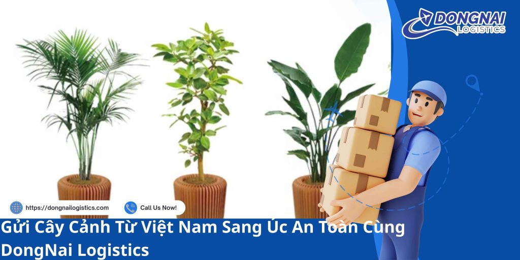 Gửi Cây Cảnh Từ Việt Nam Sang Úc An Toàn Cùng DongNai Logistics