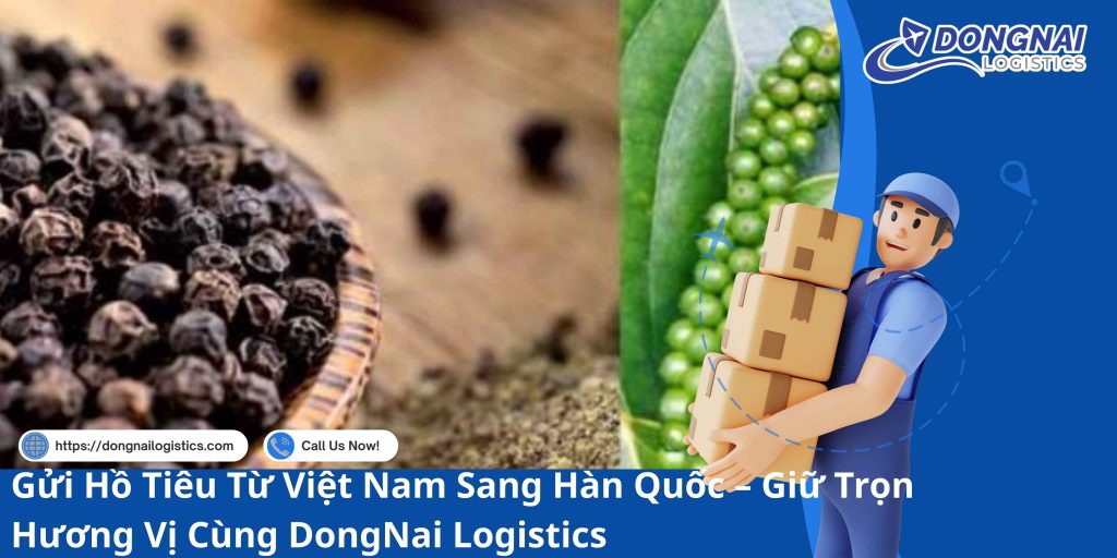 Gửi Hồ Tiêu Từ Việt Nam Sang Hàn Quốc – Giữ Trọn Hương Vị Cùng DongNai Logistics