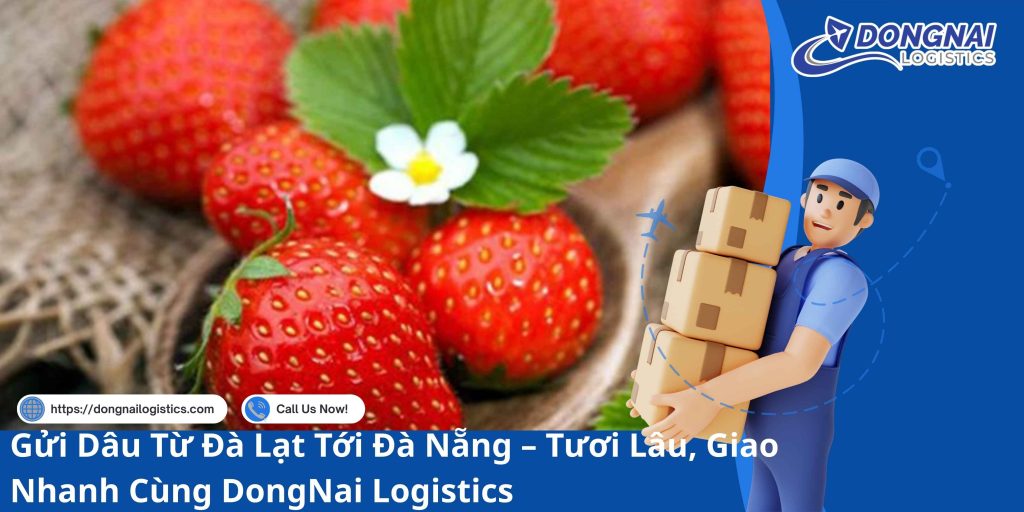 Gửi Dâu Từ Đà Lạt Tới Đà Nẵng – Tươi Lâu, Giao Nhanh Cùng DongNai Logistics