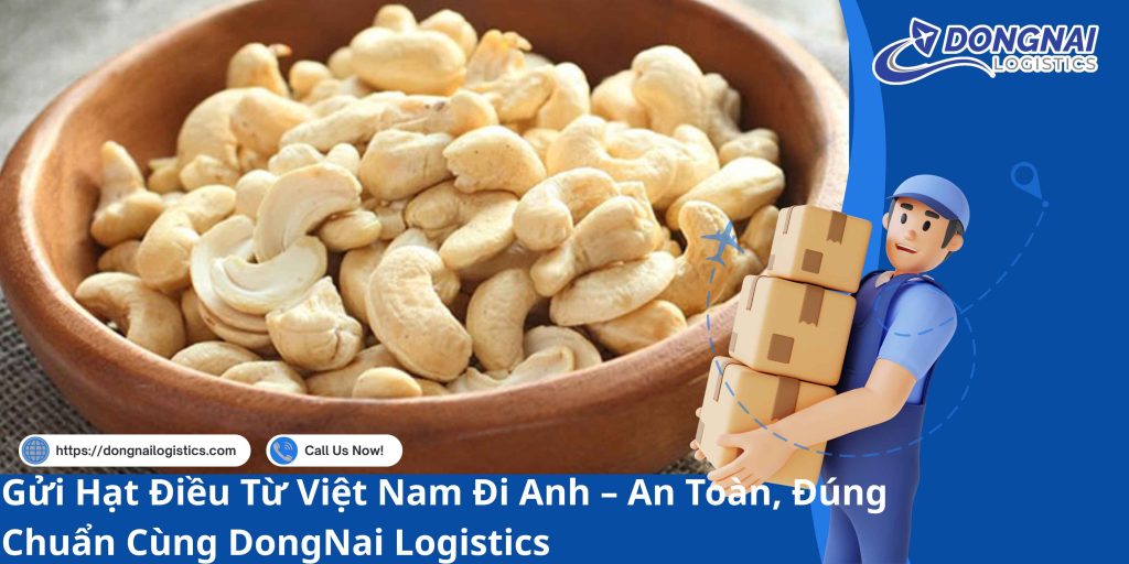 Gửi Hạt Điều Từ Việt Nam Đi Anh – An Toàn, Đúng Chuẩn Cùng DongNai Logistics