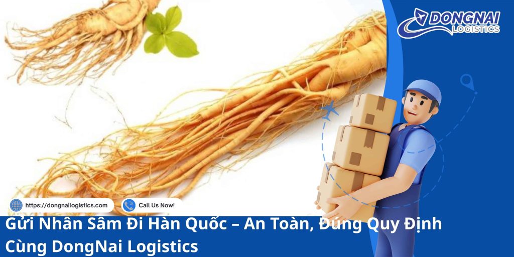 Gửi Nhân Sâm Đi Hàn Quốc – An Toàn, Đúng Quy Định Cùng DongNai Logistics