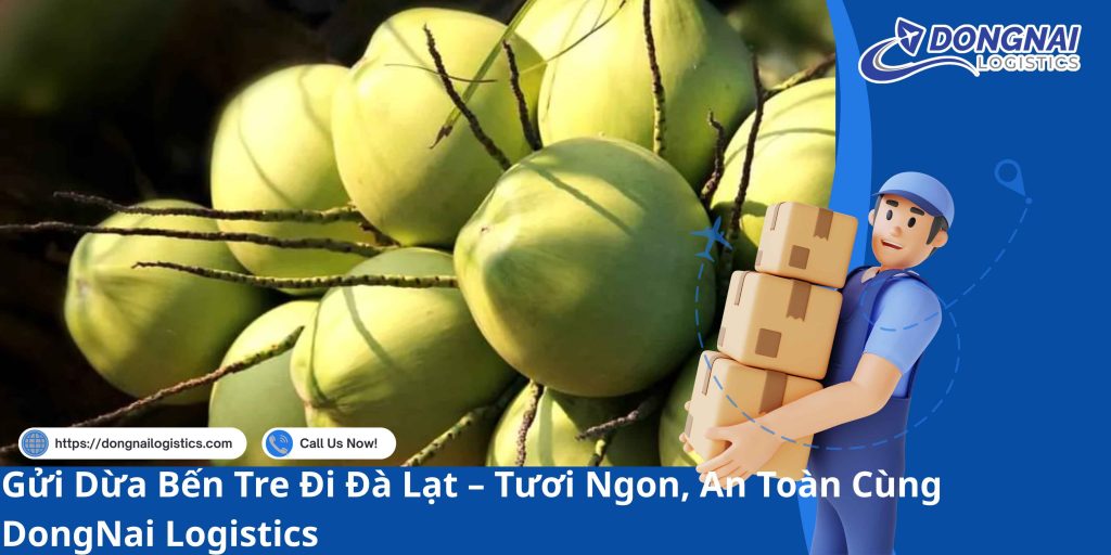Gửi Dừa Bến Tre Đi Đà Lạt – Tươi Ngon, An Toàn Cùng DongNai Logistics