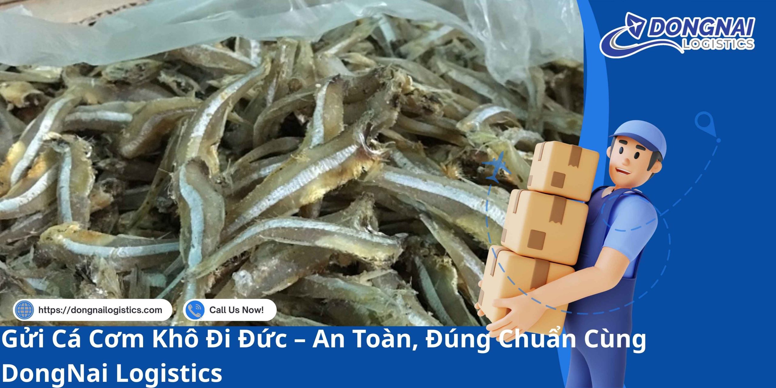 Gửi Cá Cơm Khô Đi Đức – An Toàn, Đúng Chuẩn Cùng DongNai Logistics