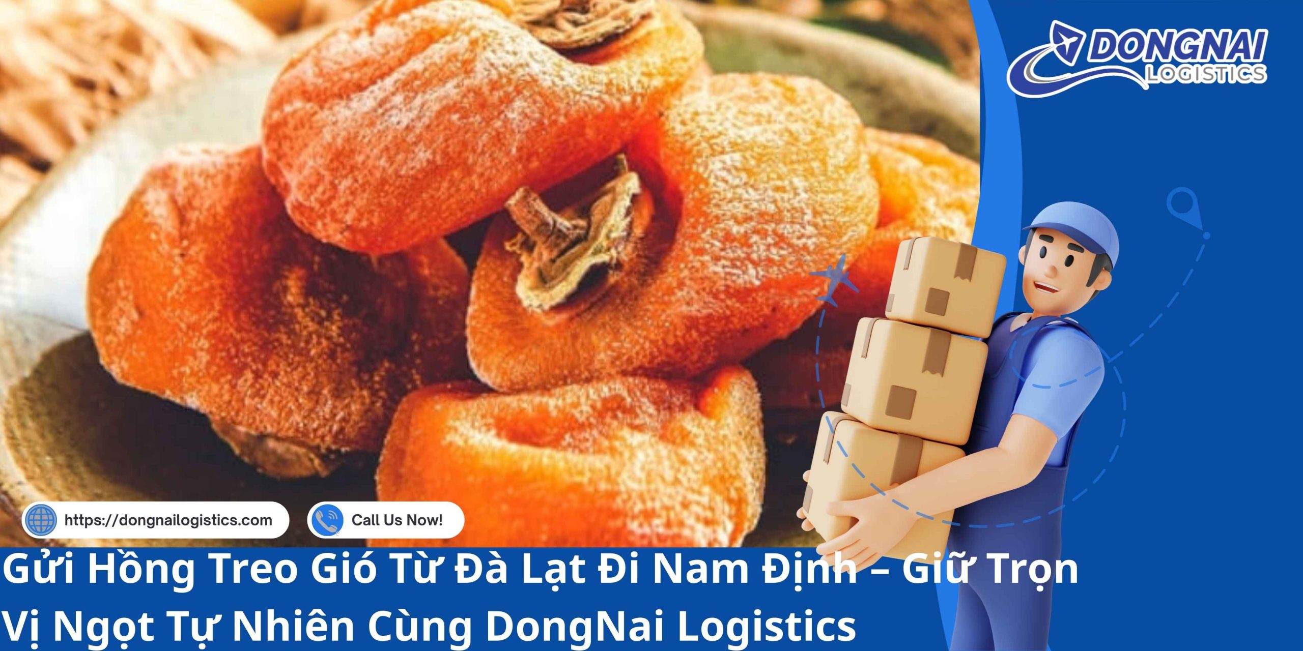 Gửi Hồng Treo Gió Từ Đà Lạt Đi Nam Định – Giữ Trọn Vị Ngọt Tự Nhiên Cùng DongNai Logistics