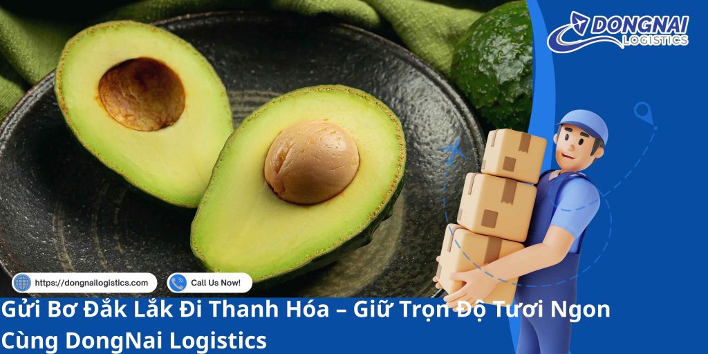 Gửi Bơ Đắk Lắk Đi Thanh Hóa – Giữ Trọn Độ Tươi Ngon Cùng DongNai Logistics
