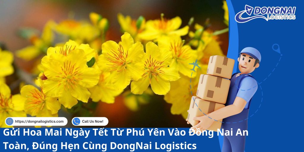 Gửi Hoa Mai Ngày Tết Từ Phú Yên Vào Đồng Nai An Toàn, Đúng Hẹn Cùng DongNai Logistics