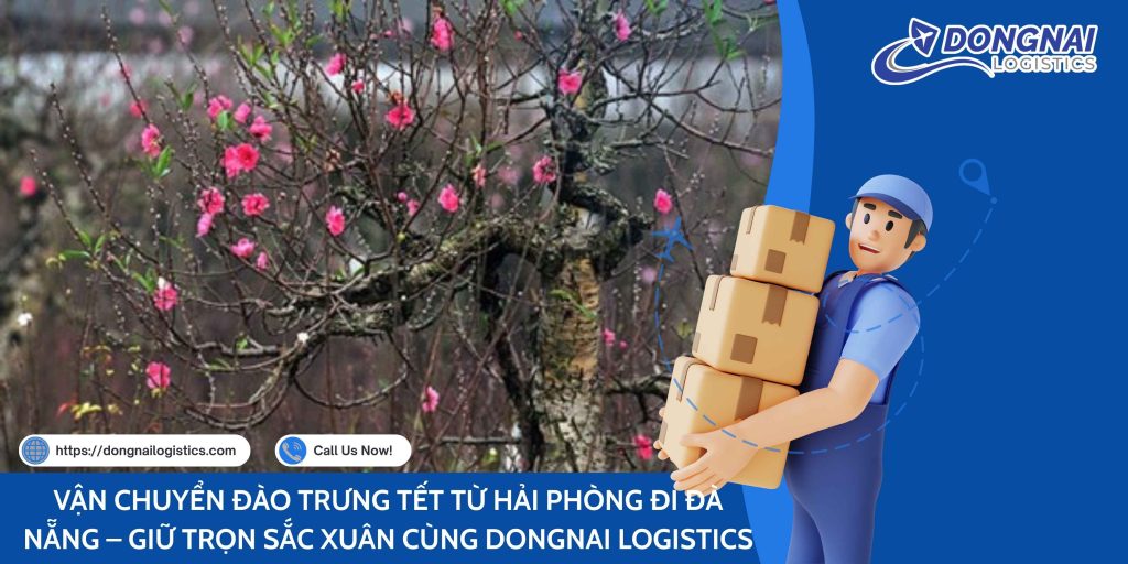 VẬN CHUYỂN ĐÀO TRƯNG TẾT TỪ HẢI PHÒNG ĐI ĐÀ NẴNG – GIỮ TRỌN SẮC XUÂN CÙNG DONGNAI LOGISTICS