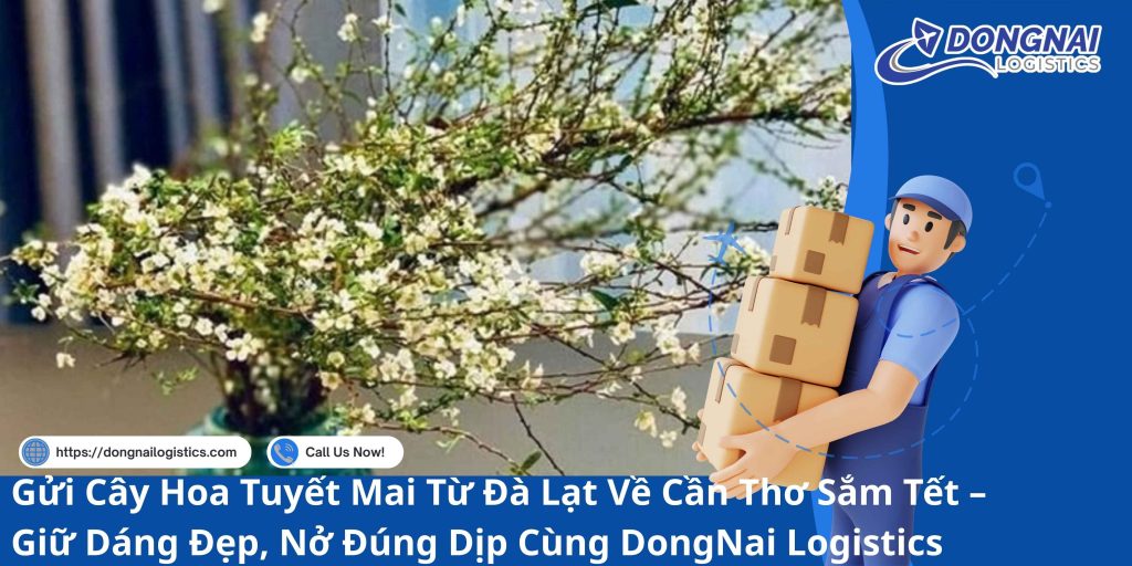 Gửi Cây Hoa Tuyết Mai Từ Đà Lạt Về Cần Thơ Sắm Tết – Giữ Dáng Đẹp, Nở Đúng Dịp Cùng DongNai Logistics