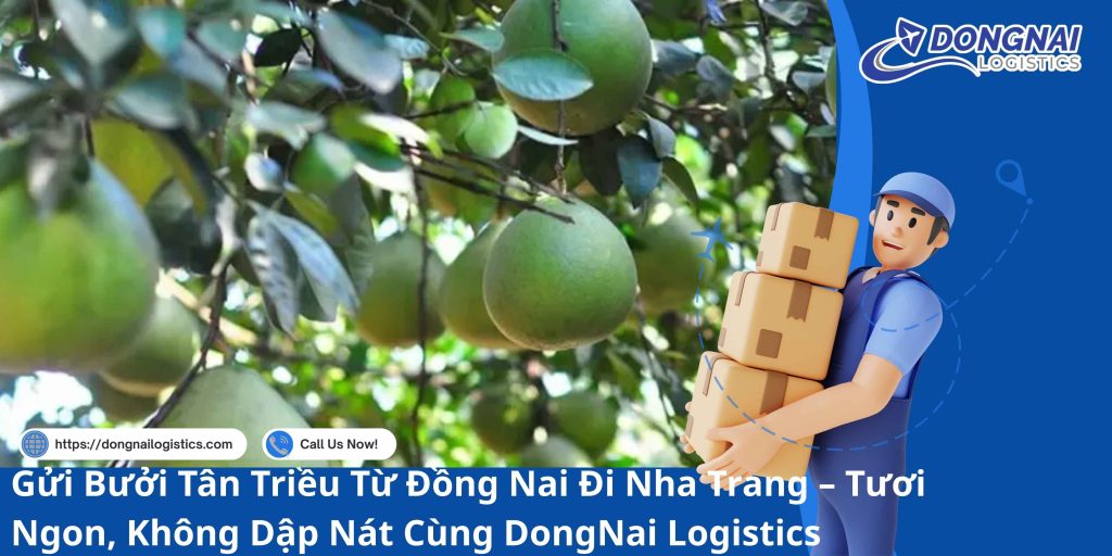 Gửi Bưởi Tân Triều Từ Đồng Nai Đi Nha Trang – Tươi Ngon, Không Dập Nát Cùng DongNai Logistics