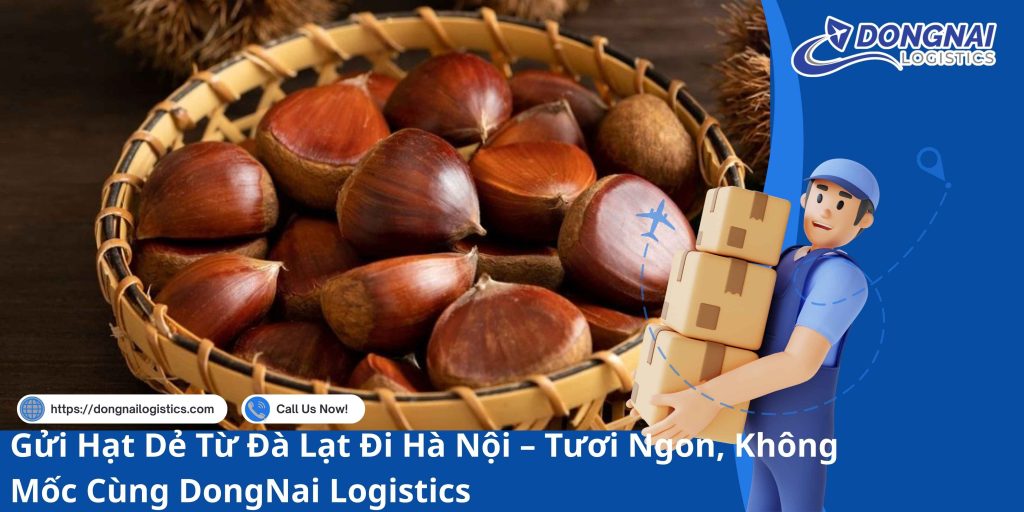 Gửi Hạt Dẻ Từ Đà Lạt Đi Hà Nội – Tươi Ngon, Không Mốc Cùng DongNai Logistics