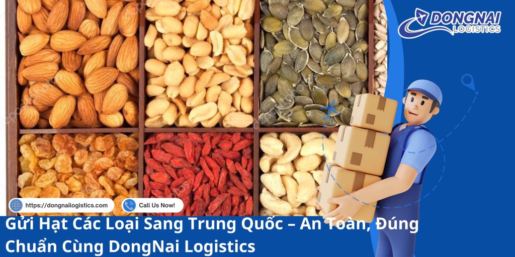 Gửi Hạt Các Loại Sang Trung Quốc – An Toàn, Đúng Chuẩn Cùng DongNai Logistics