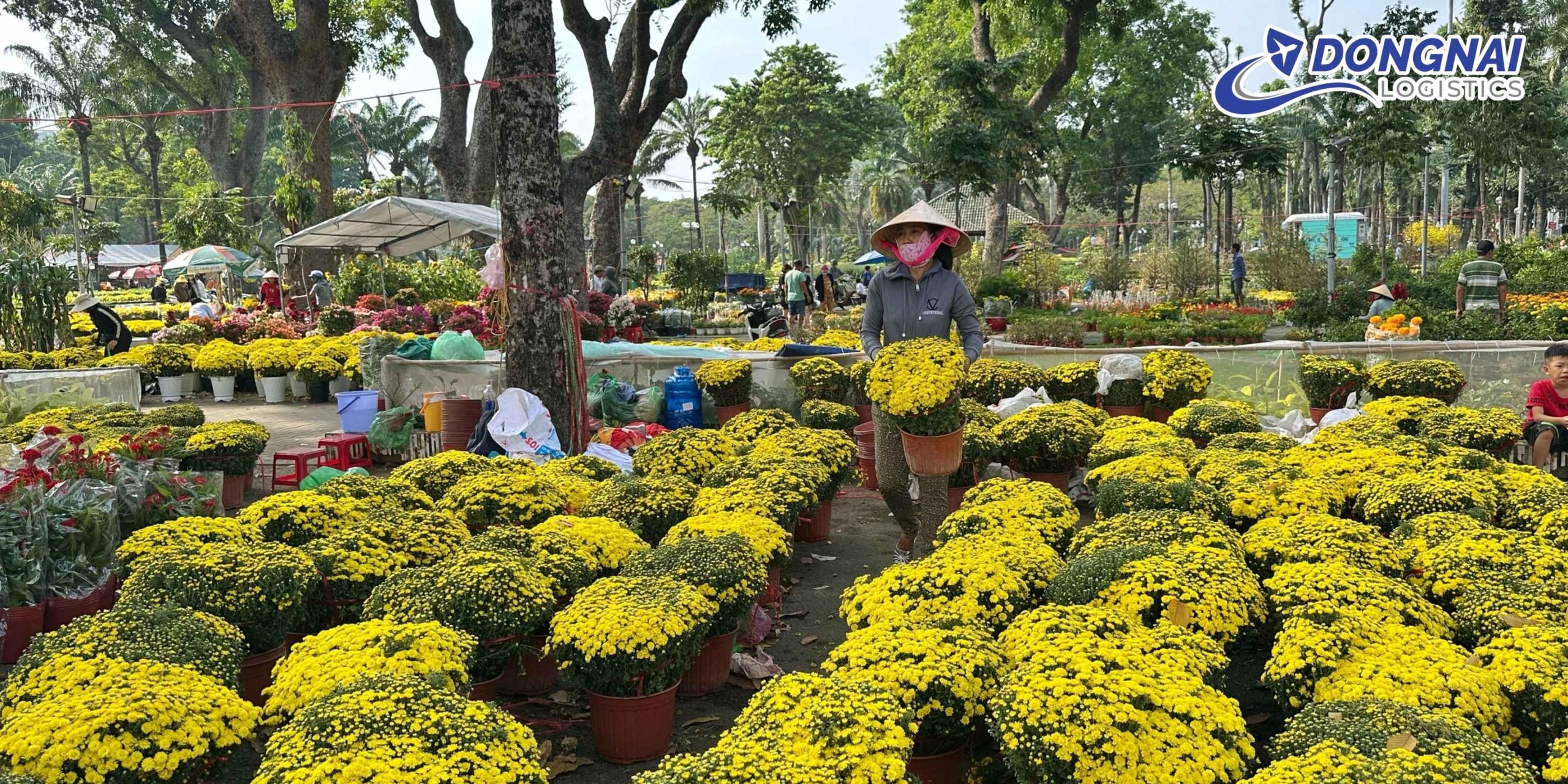 VẬN CHUYỂN HOA TẾT BẰNG ĐƯỜNG SẮT – GIẢI PHÁP ỔN ĐỊNH, AN TOÀN CÙNG DONGNAI LOGISTICS