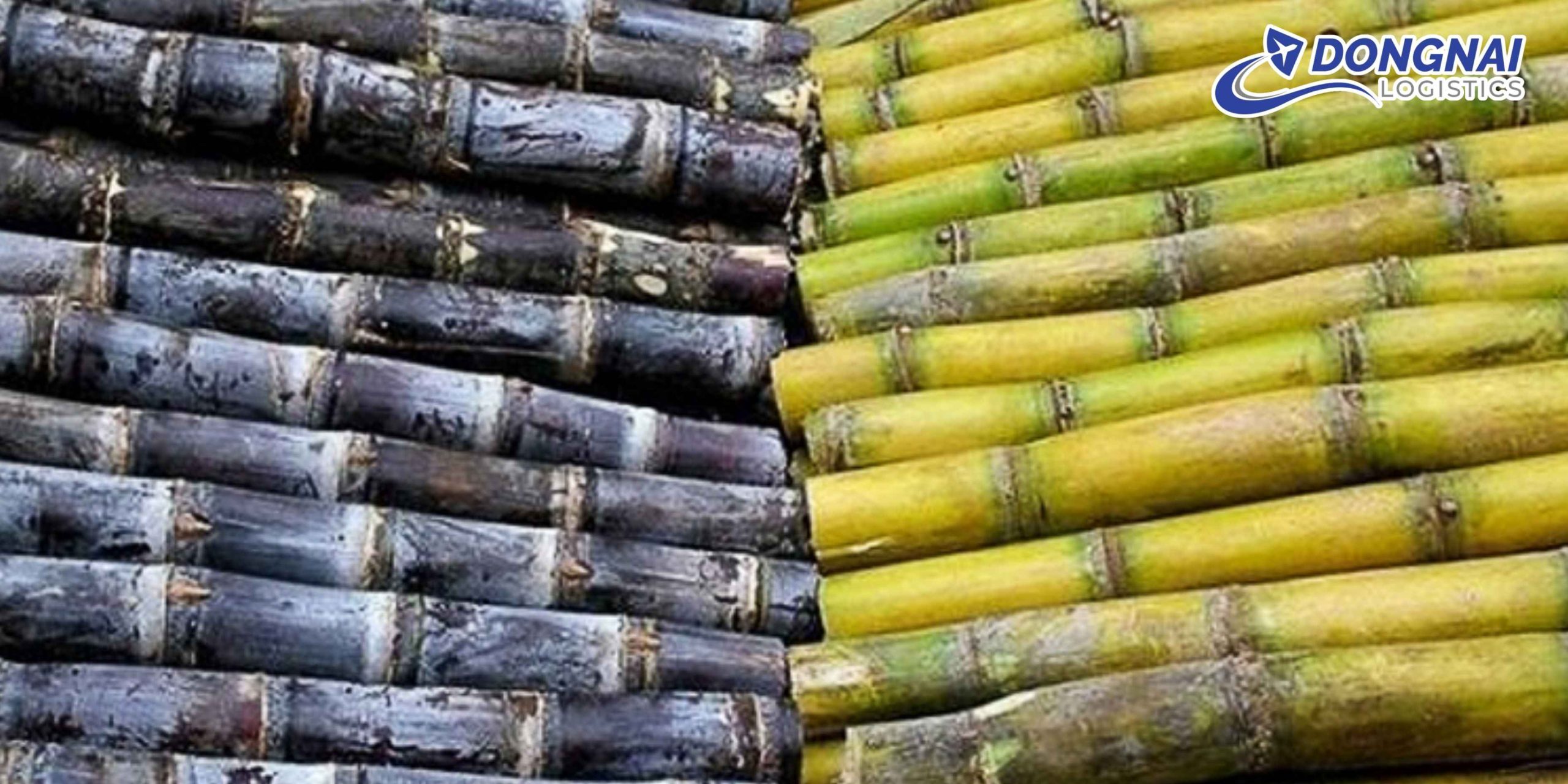 Gửi Mía Từ Miền Trung Vào Miền Nam Nhanh Chóng, An Toàn Cùng DongNai Logistics