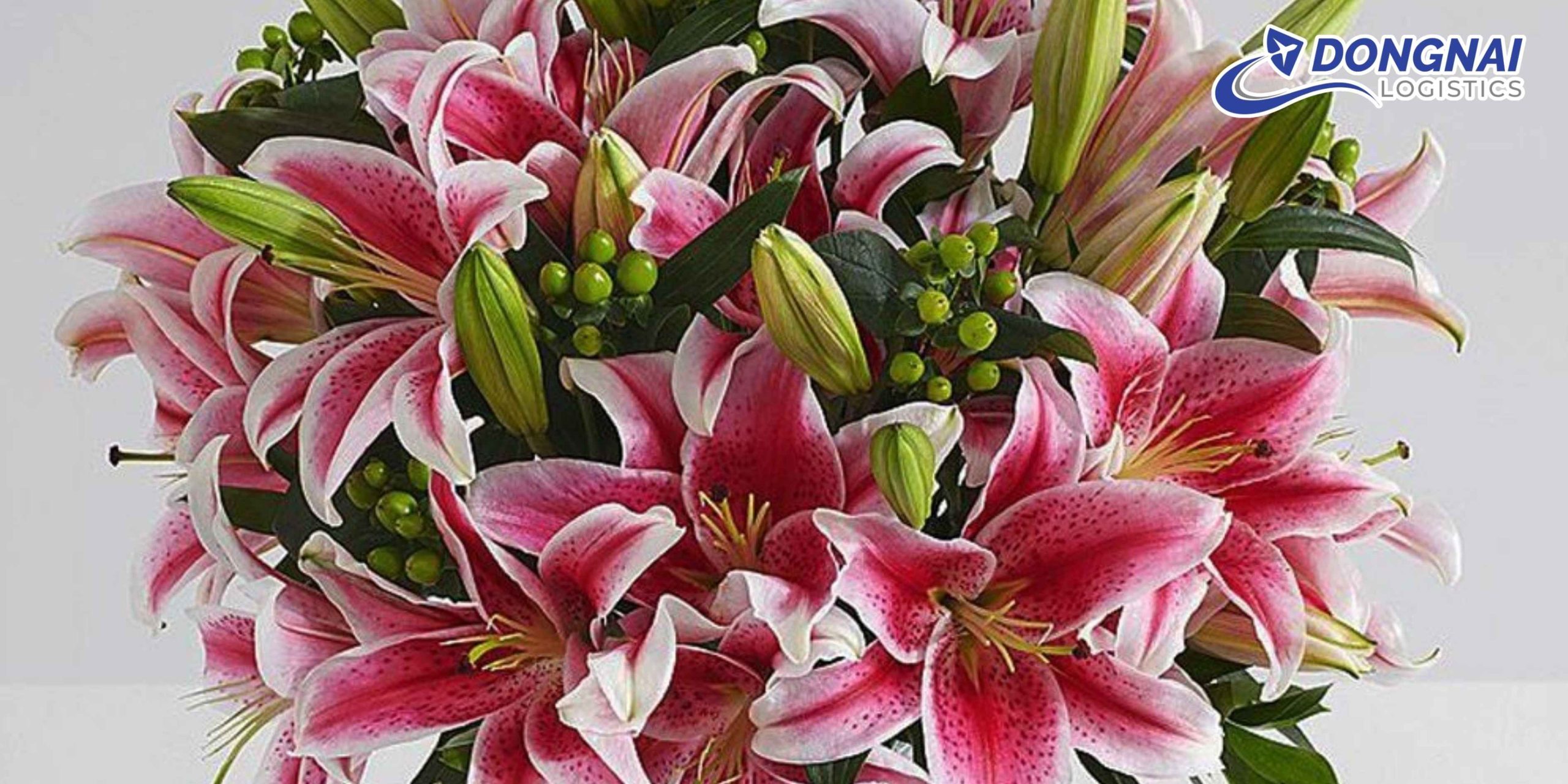 Gửi Hoa Ly Kép Từ Đà Lạt Vào HCM – Tươi Lâu, Giao Nhanh Cùng DongNai Logistics