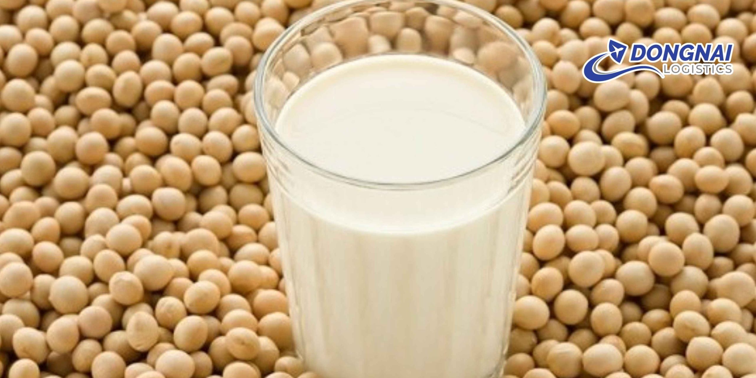 Gửi Hạt Đậu Nành Lên Hà Nội Nhanh Chóng, An Toàn Cùng DongNai Logistics