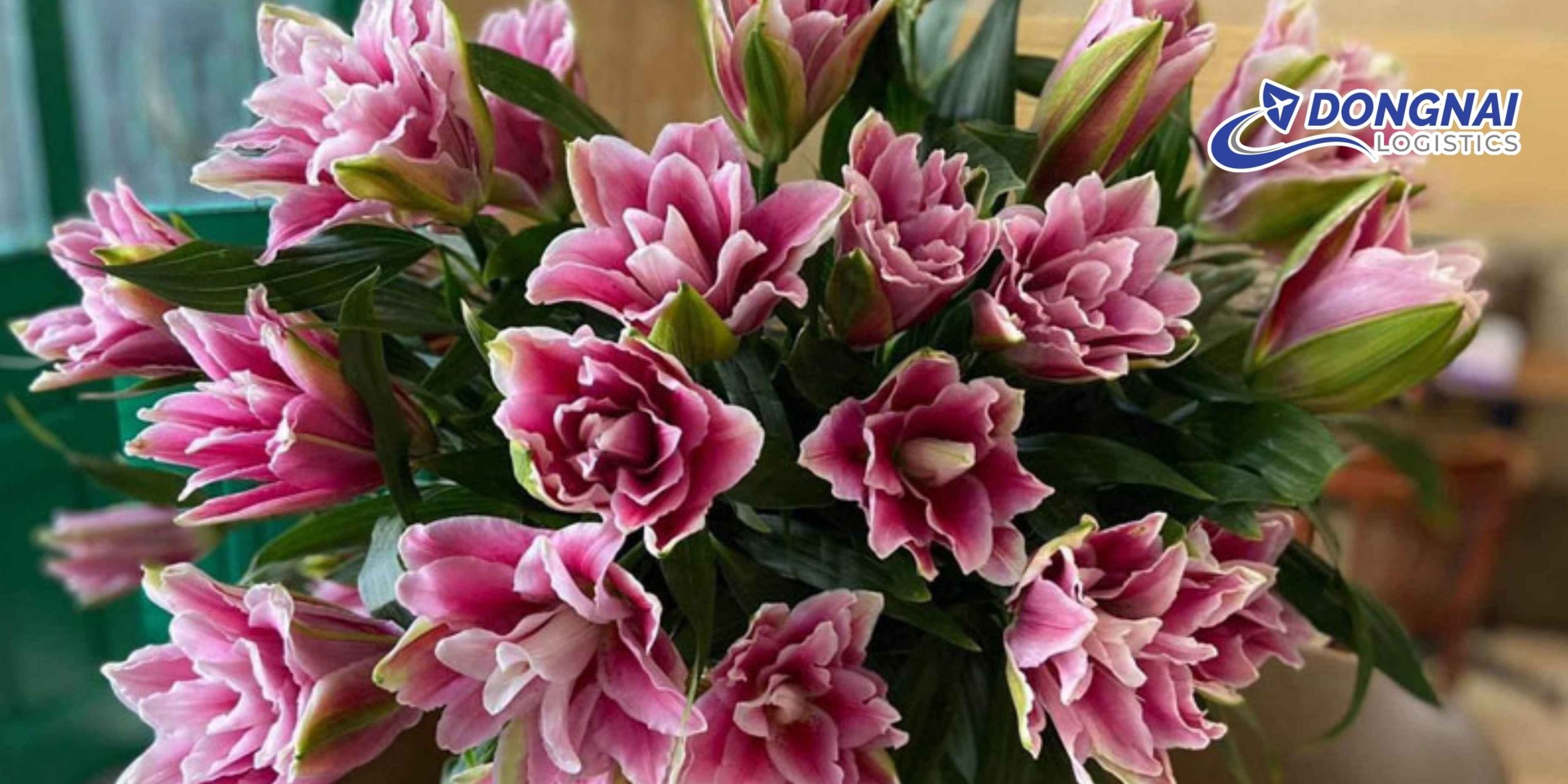 Gửi Hoa Ly Kép Từ Đà Lạt Vào HCM – Tươi Lâu, Giao Nhanh Cùng DongNai Logistics