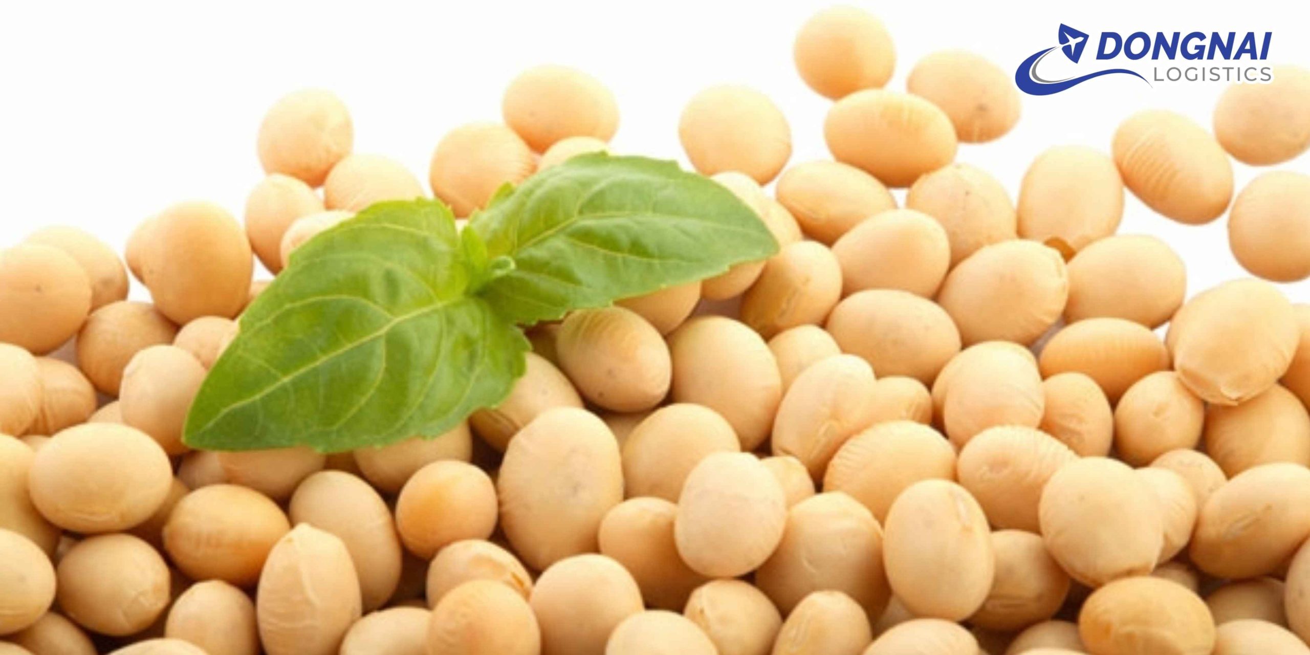 Gửi Hạt Đậu Nành Lên Hà Nội Nhanh Chóng, An Toàn Cùng DongNai Logistics