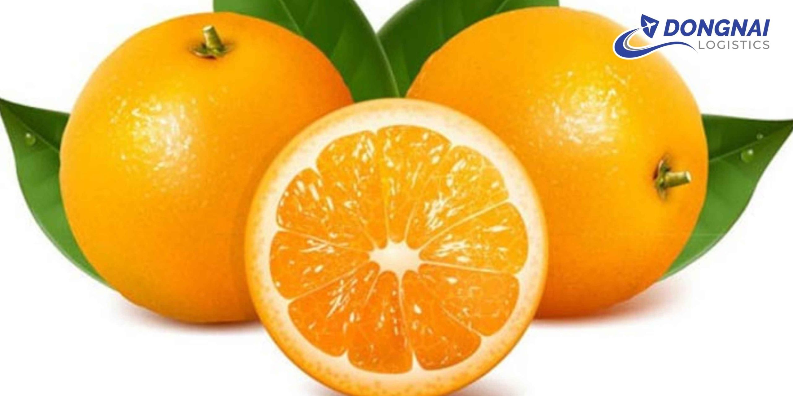 Gửi Cam Qua Úc An Toàn, Nhanh Chóng Cùng DongNai Logistics