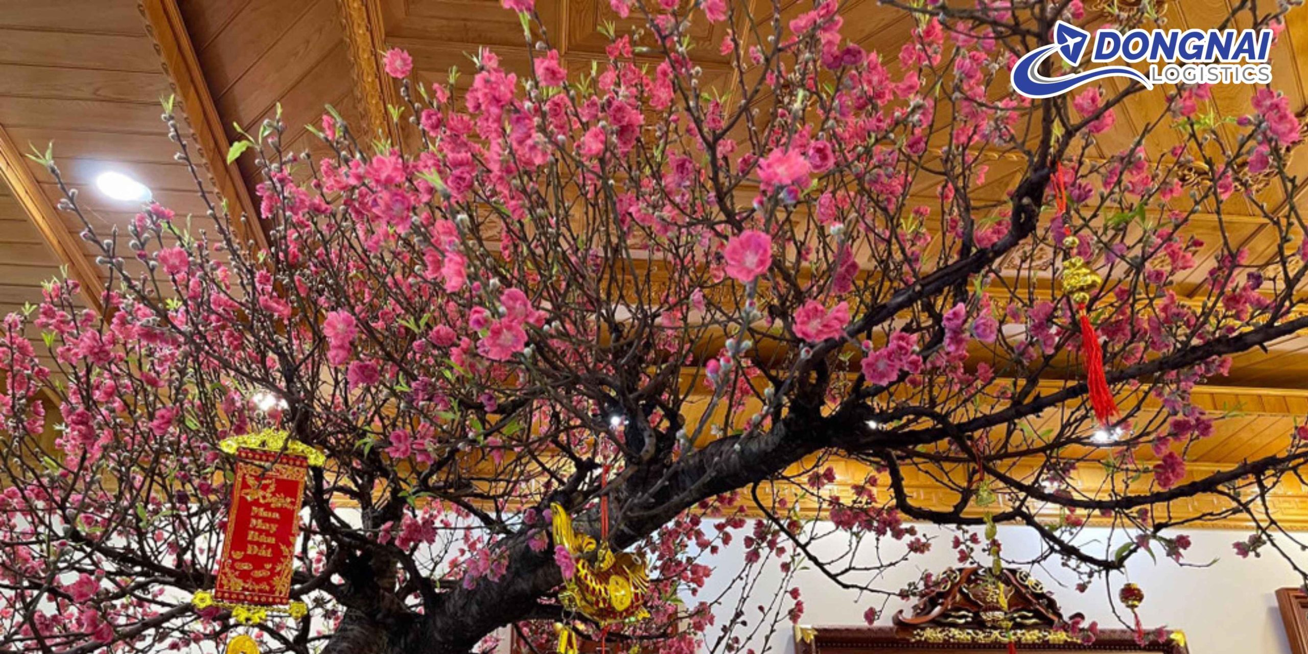 Gửi Cành Đào Từ Bắc Ninh Vào Đà Nẵng – Giữ Dáng Đẹp, Nở Đúng Tết Cùng DongNai Logistics