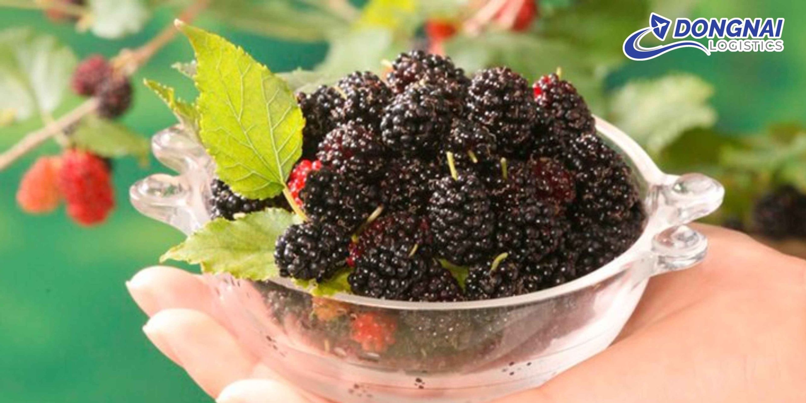 Gửi Mứt Dâu Tằm Tây Nguyên Vào TP.HCM – Kín, Sạch, Giữ Trọn Hương Vị Cùng DongNai Logistics