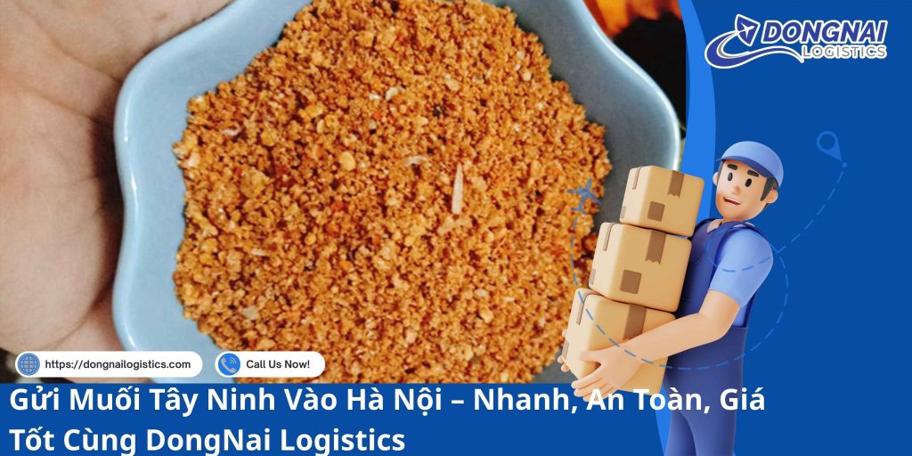 Gửi Muối Tây Ninh Vào Hà Nội – Nhanh, An Toàn, Giá Tốt Cùng DongNai Logistics