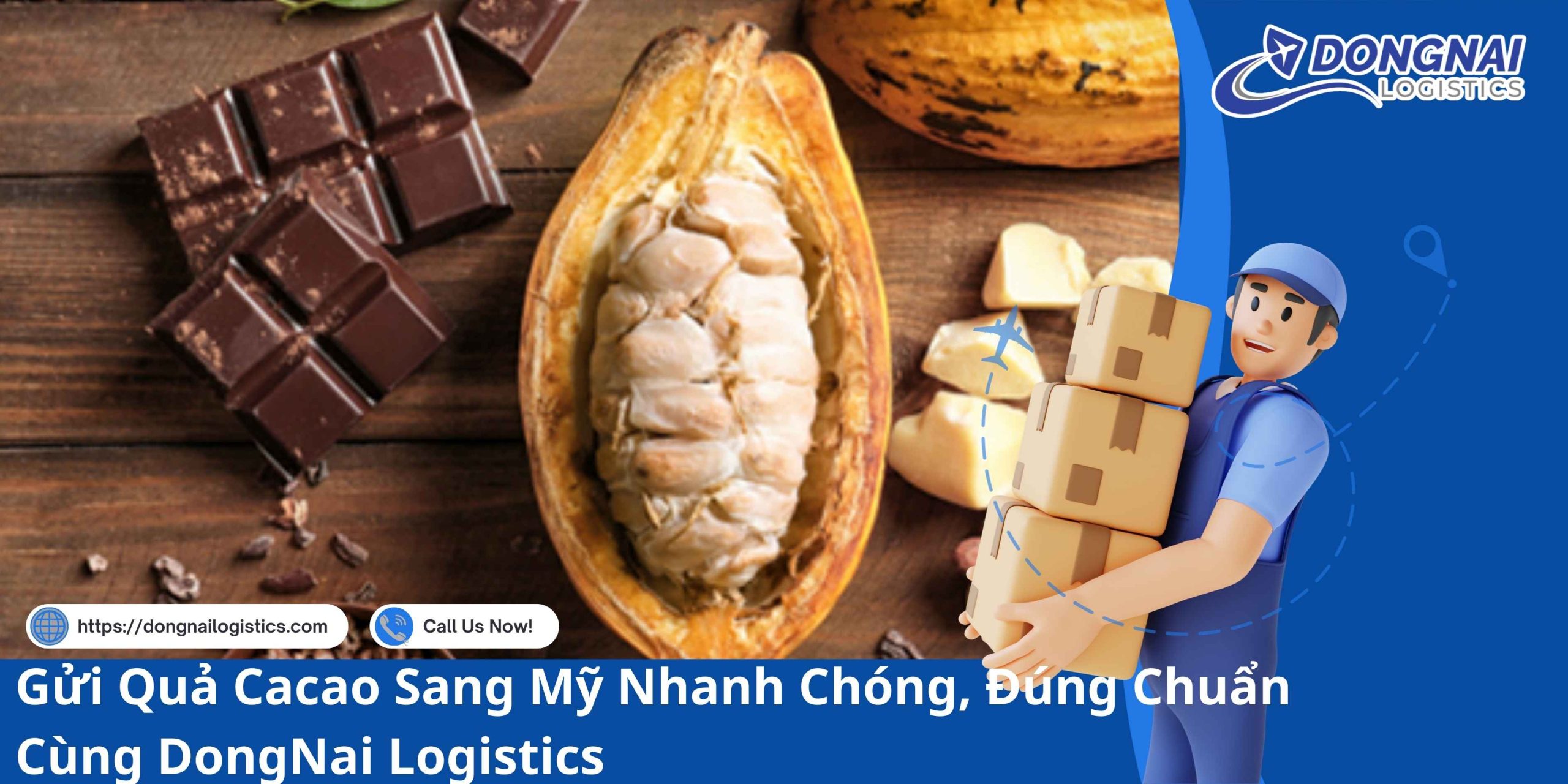 Gửi Quả Cacao Sang Mỹ Nhanh Chóng, Đúng Chuẩn Cùng DongNai Logistics
