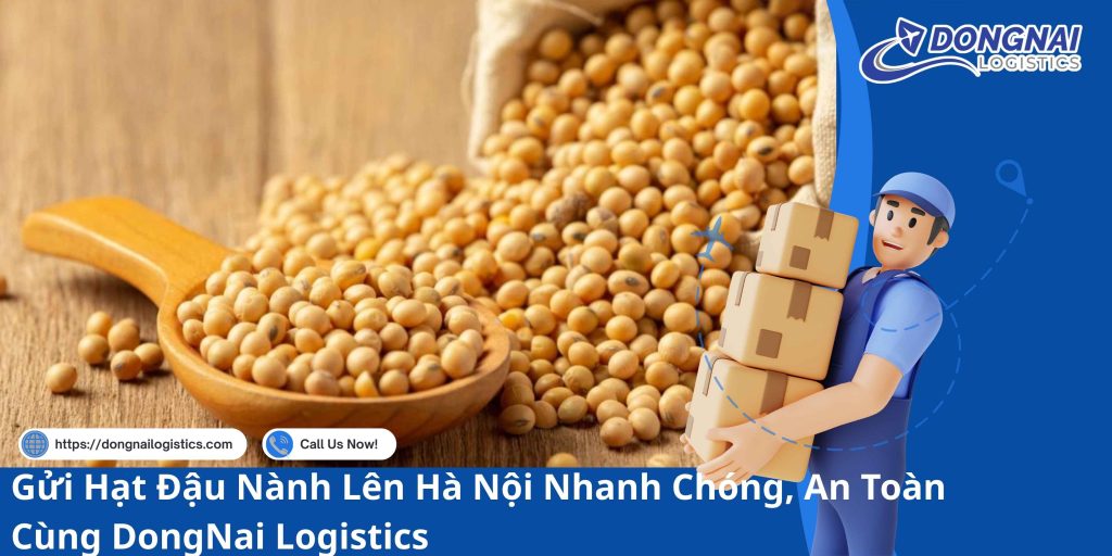 Gửi Hạt Đậu Nành Lên Hà Nội Nhanh Chóng, An Toàn Cùng DongNai Logistics