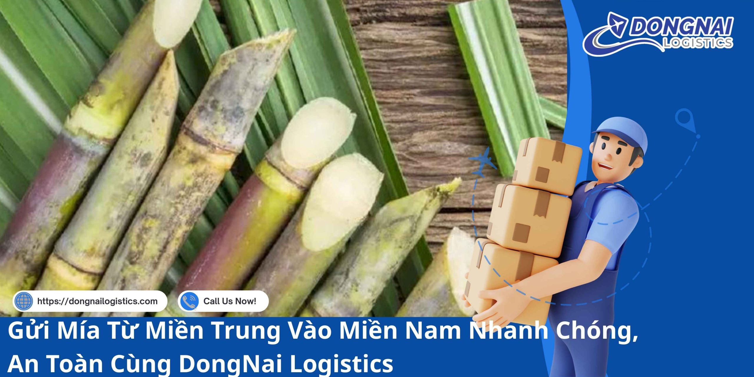 Gửi Mía Từ Miền Trung Vào Miền Nam Nhanh Chóng, An Toàn Cùng DongNai Logistics