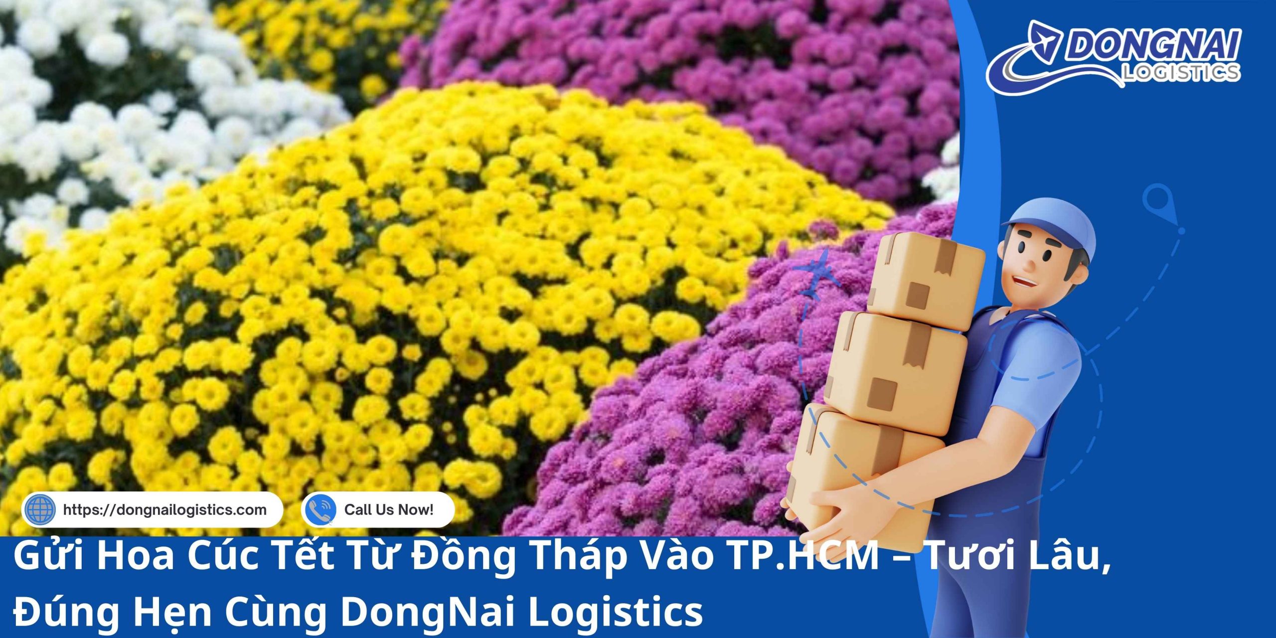 Gửi Hoa Cúc Tết Từ Đồng Tháp Vào TP.HCM – Tươi Lâu, Đúng Hẹn Cùng DongNai Logistics