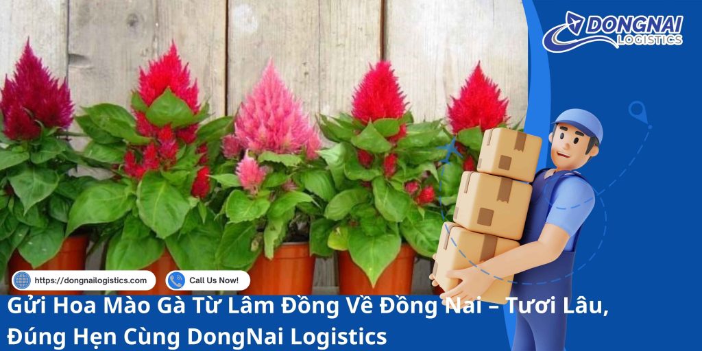 Gửi Hoa Mào Gà Từ Lâm Đồng Về Đồng Nai – Tươi Lâu, Đúng Hẹn Cùng DongNai Logistics
