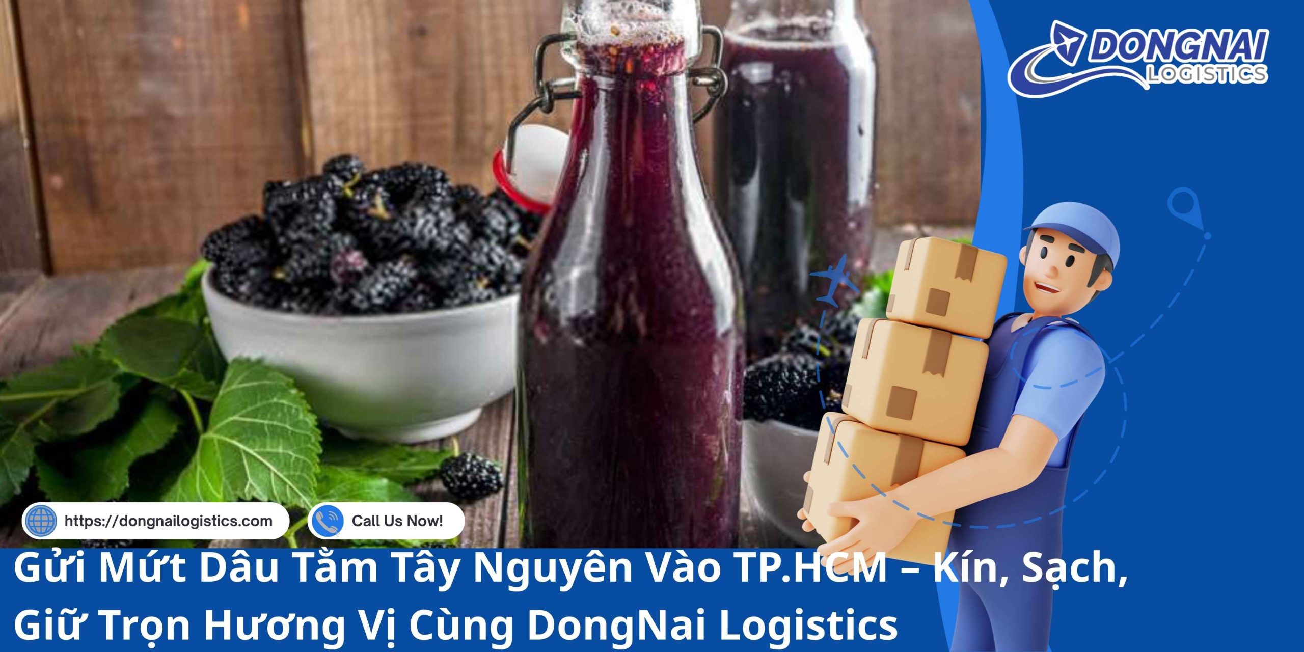 Gửi Mứt Dâu Tằm Tây Nguyên Vào TP.HCM – Kín, Sạch, Giữ Trọn Hương Vị Cùng DongNai Logistics