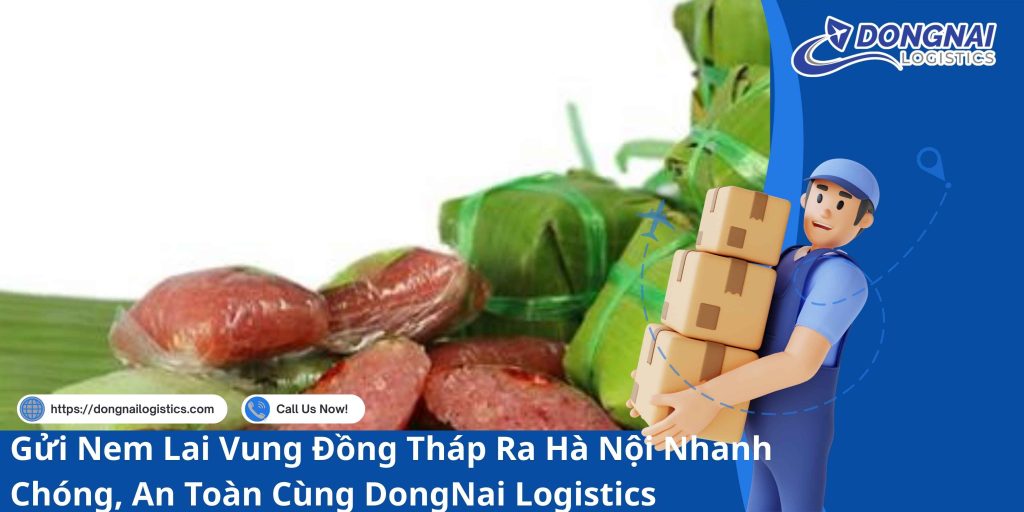 Gửi Nem Lai Vung Đồng Tháp Ra Hà Nội Nhanh Chóng, An Toàn Cùng DongNai Logistics