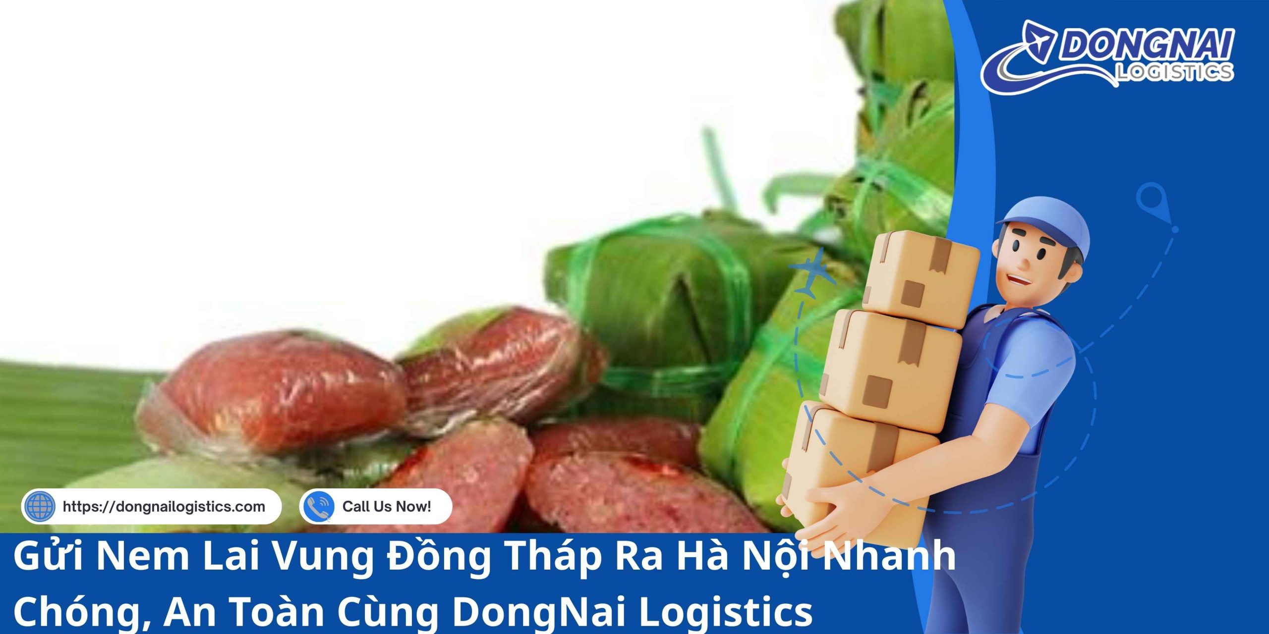 Gửi Nem Lai Vung Đồng Tháp Ra Hà Nội Nhanh Chóng, An Toàn Cùng DongNai Logistics