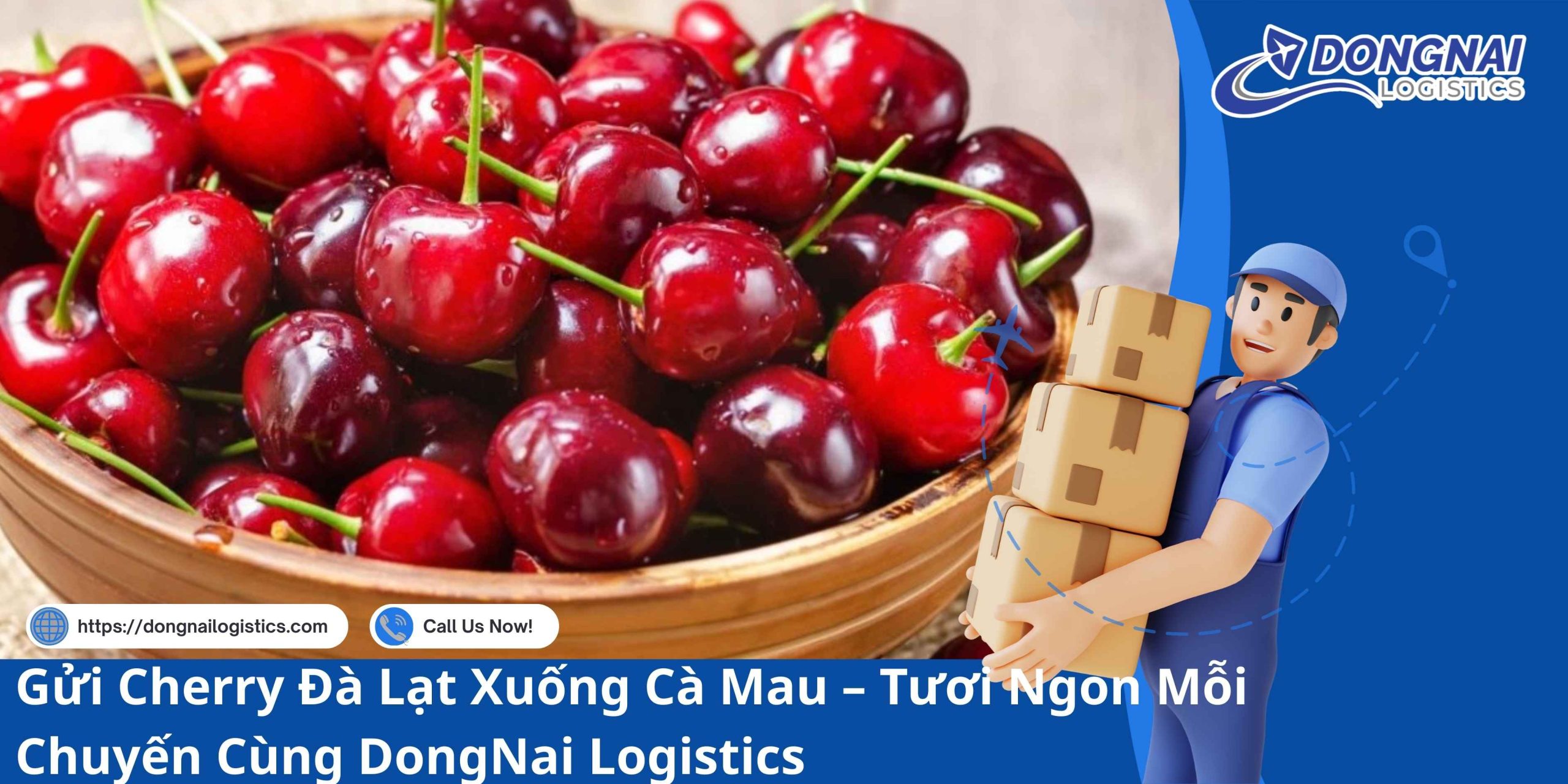 Gửi Cherry Đà Lạt Xuống Cà Mau – Tươi Ngon Mỗi Chuyến Cùng DongNai Logistics