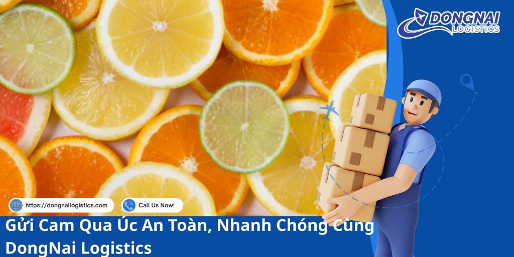 Gửi Cam Qua Úc An Toàn, Nhanh Chóng Cùng DongNai Logistics
