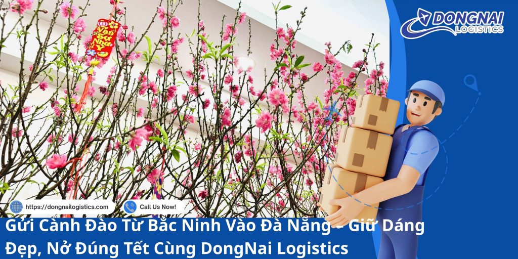 Gửi Cành Đào Từ Bắc Ninh Vào Đà Nẵng – Giữ Dáng Đẹp, Nở Đúng Tết Cùng DongNai Logistics