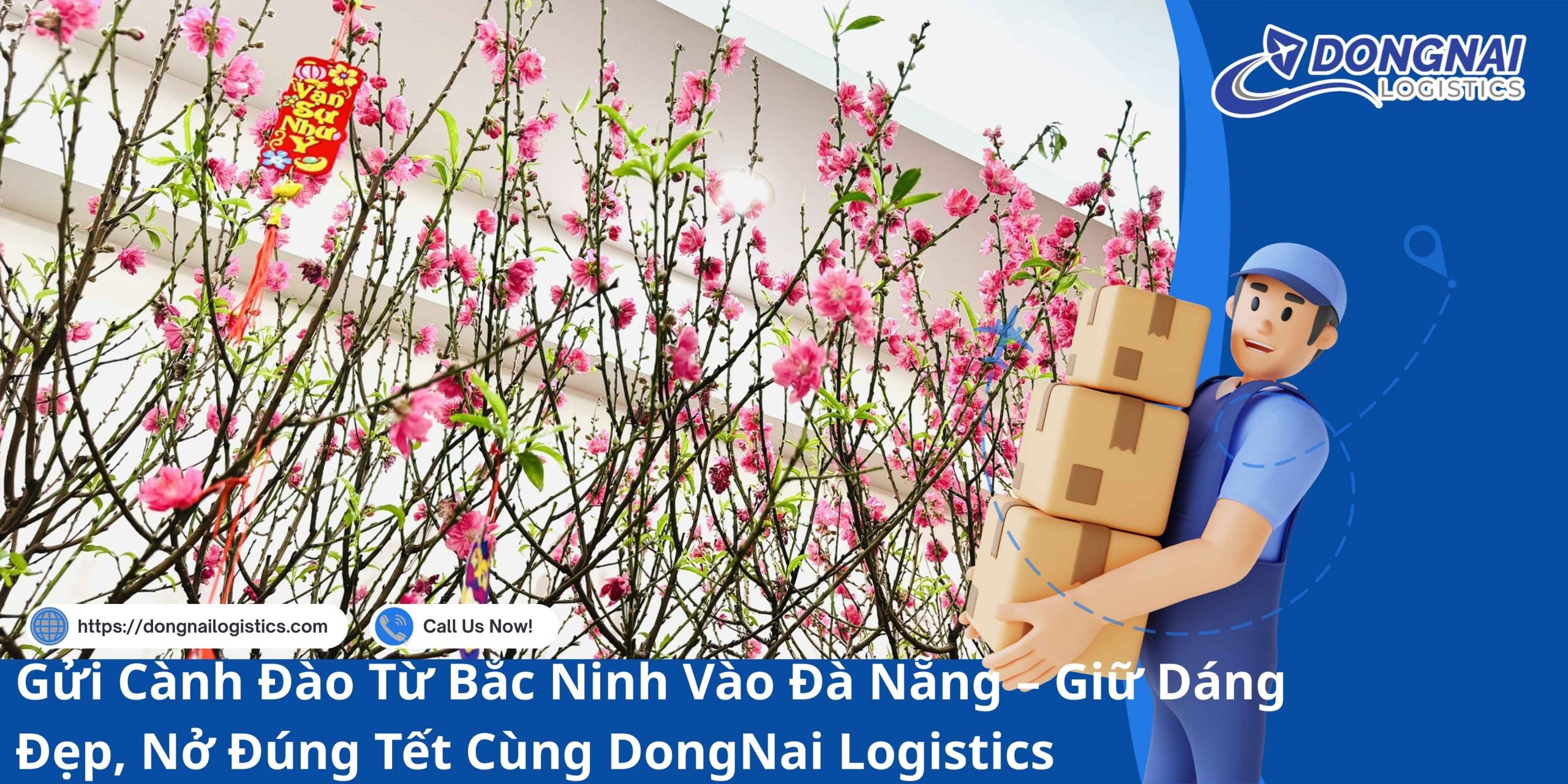 Gửi Cành Đào Từ Bắc Ninh Vào Đà Nẵng – Giữ Dáng Đẹp, Nở Đúng Tết Cùng DongNai Logistics