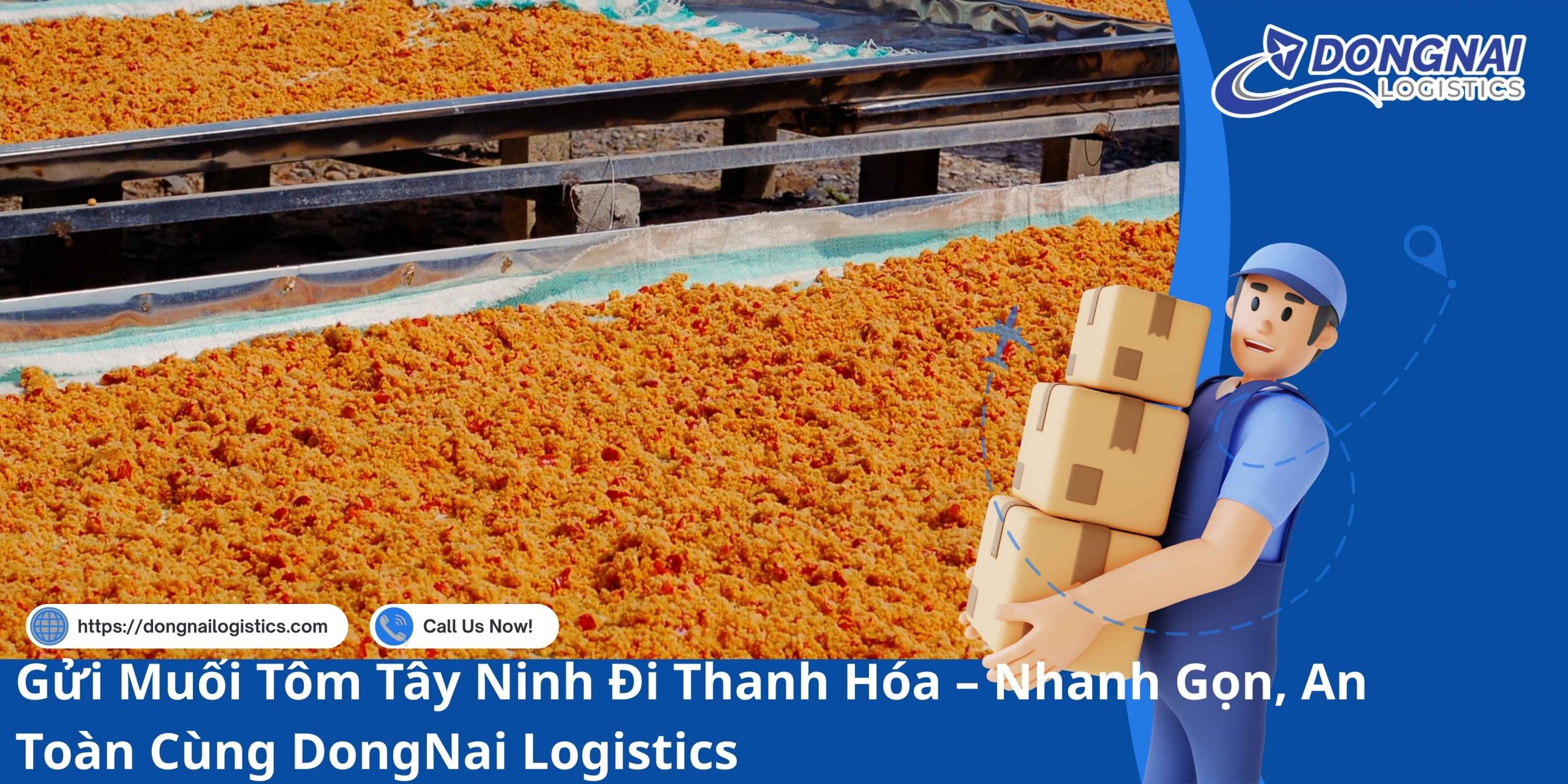 Gửi Muối Tôm Tây Ninh Đi Thanh Hóa – Nhanh Gọn, An Toàn Cùng DongNai Logistics