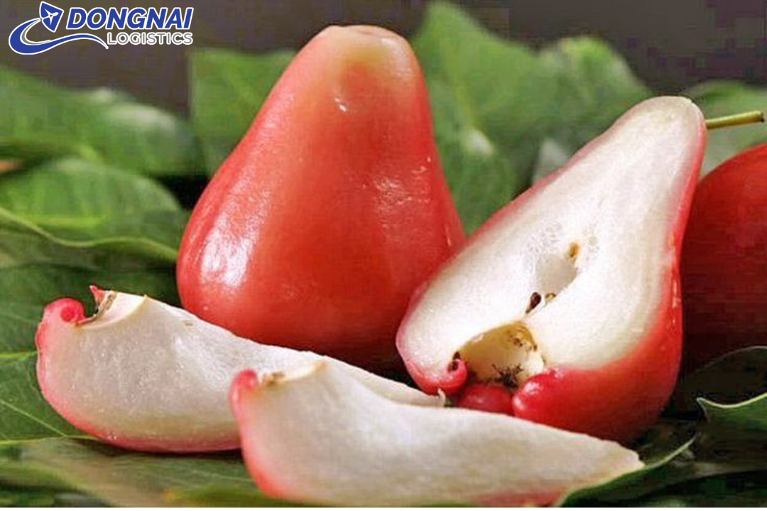 Gửi Mận Roi Hà Nội Vào Sài Gòn: Cách Vận Chuyển An Toàn
